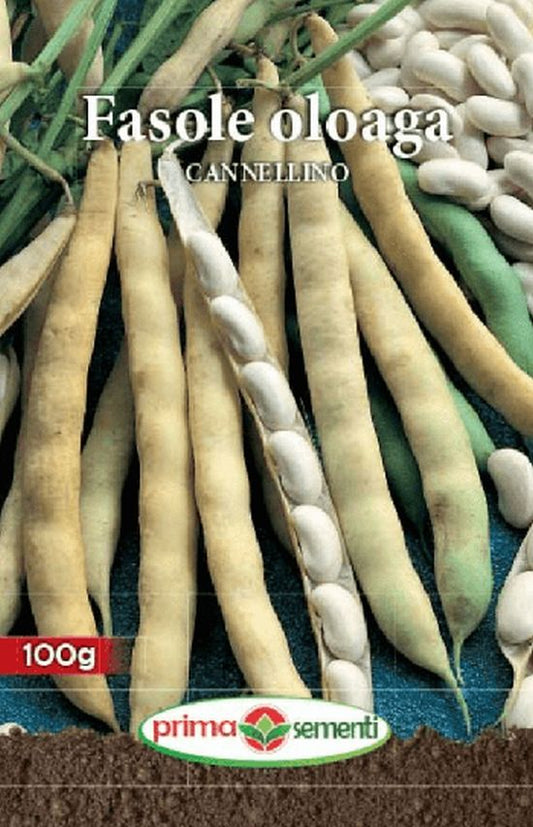 seminte-fasole-oloaga-cannelino-prima-sementi