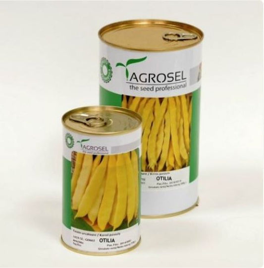 Seminte fasole urcatoare Otilia (500 g), Agrosel