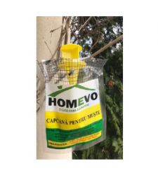 capcana-pentru-muste-1-buc-homevo
