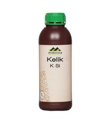 Corector de carenta Kelik K-Si (1 l), Atlantica Agricola