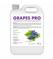 Ingrasamant lichid cu humat de potasiu pentru vita de vie Grapes Pro (10 l), SemPlus