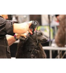 Masina tuns animale Saphire Cord, EF 154410