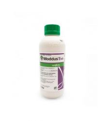 Regulator de crestere Moddus Evo (1 l), Syngenta