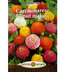 seminte-carciumarese-liliput-mix-de-culori-prima-sementi