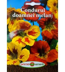 seminte-condurul-doamnei-mix-de-culori-prima-sementi