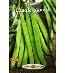 seminte-fasole-lata-urcatoare-marconi-prima-sementi