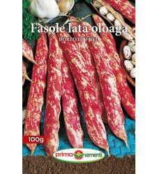 Seminte fasole oloaga Borlotto Red (100 g), Prima Sementi