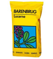 Seminte lucerna inoculata Bardine (25 kg), Barenbrug