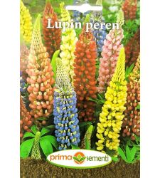 seminte-lupin-peren-mix-de-culori-prima-sementi