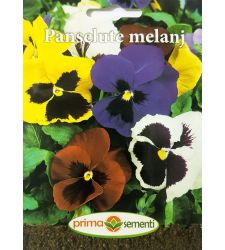 seminte-panselute-mix-de-culori-prima-sementi