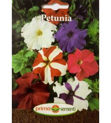 seminte-petunia-mix-de-culori-prima-sementi