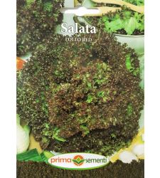 seminte-salata-creata-rosie-lollo-red-prima-sementi