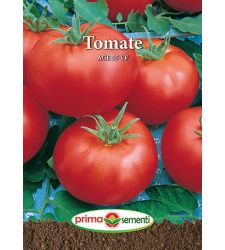 Seminte tomate Ace 55 VF (1 g), Prima Sementi